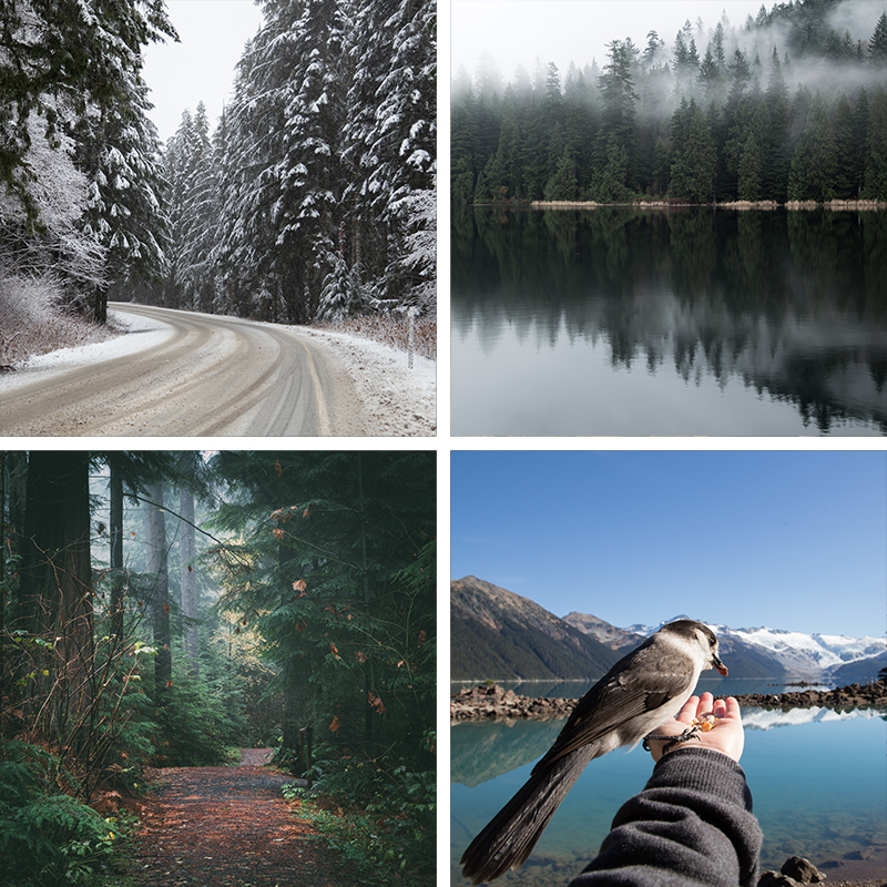 4 images of landscape shot in BC