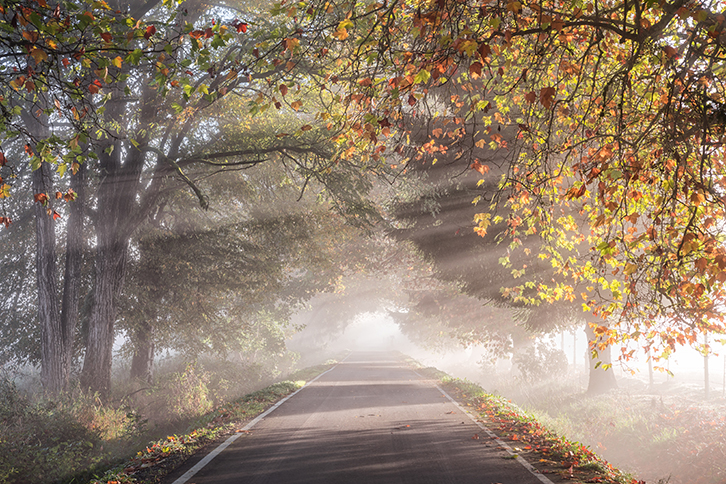 Bright sunshine beams on a rural road in the Autumn